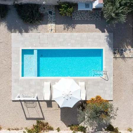 Dream * Κάλαθος