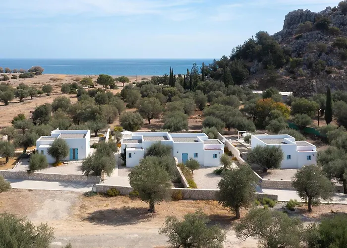 Dream * Κάλαθος